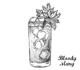 Fototapeta bloody mary cocktail hand drawn.