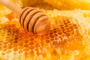 Wall Mural - Honey dipper and honeycomb