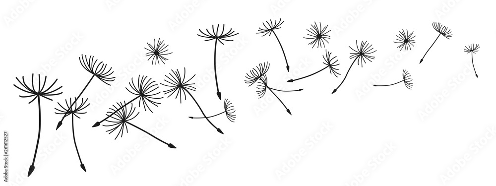 Abstract black dandelion, flying seeds of dandelion - vector - obrazy, fototapety, plakaty 