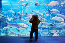 Silhouette Of Little Child Enjoying Views Of Underwater Life