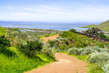 Walking trail in Don Edwards wildlife refuge, San Francisco bay and the Dumbarton bridge visible in the background, Fremont, California