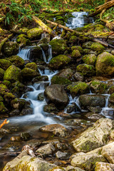 waterfall in forest