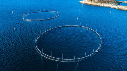 Wall Mural - Salmon fish farm. Hordaland, Norway.