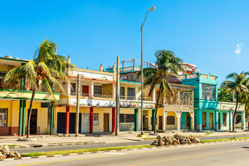 Old Spanish colonial houses with palms along the street in the c