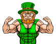 A tough leprechaun sports mascot cartoon character with fists up