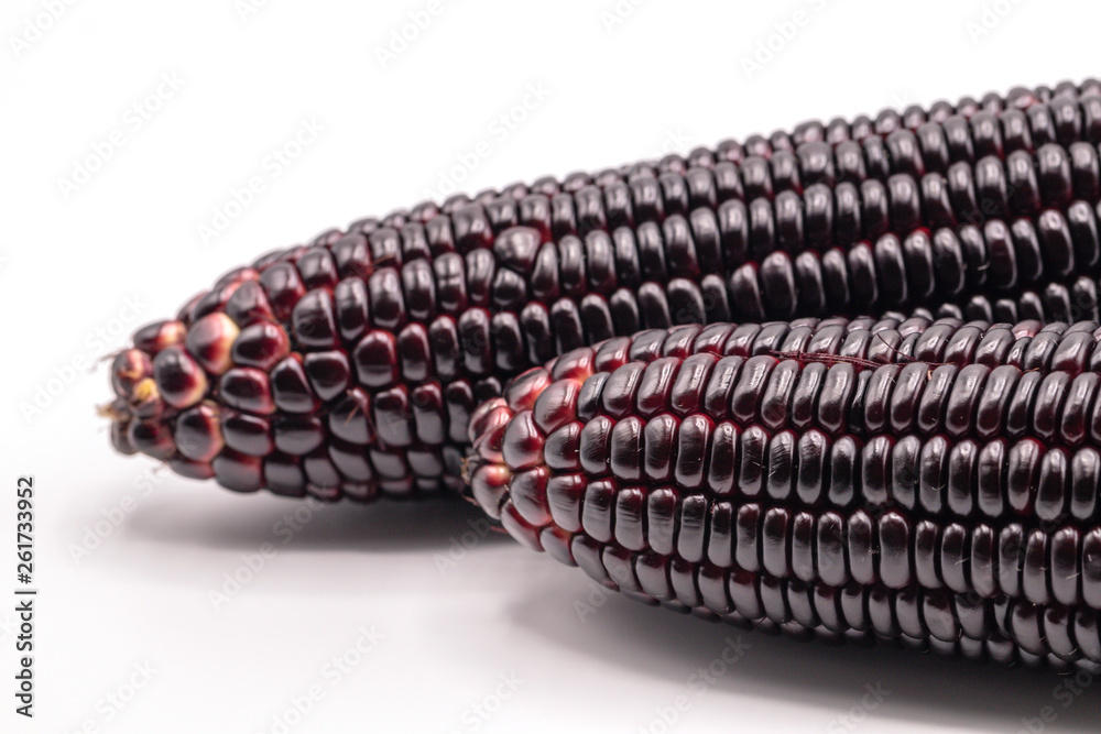 Close up Siam ruby queen corn isolated on white background. It can be ...
