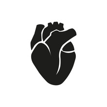 Human Heart Icon. Vector Illustration. Flat Design.