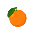 Orange fruit illustration. Vector. Isolated.