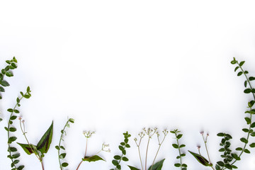 Wall Mural - Decorative frame made branches, leaves, flowers on white background. Flat lay, top view