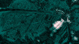 Fototapeta Fototapety pomosty - krzywy pomost w lesie