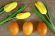 Jajka barwione kurkumą otoczone żółtymi tulipanami