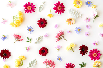 Wall Mural - Floral pattern with spring flowers and leaves on white background. Flat lay. Top view