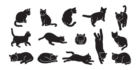 Wall Mural - cat vector kitten icon logo cartoon character illustration doodle black