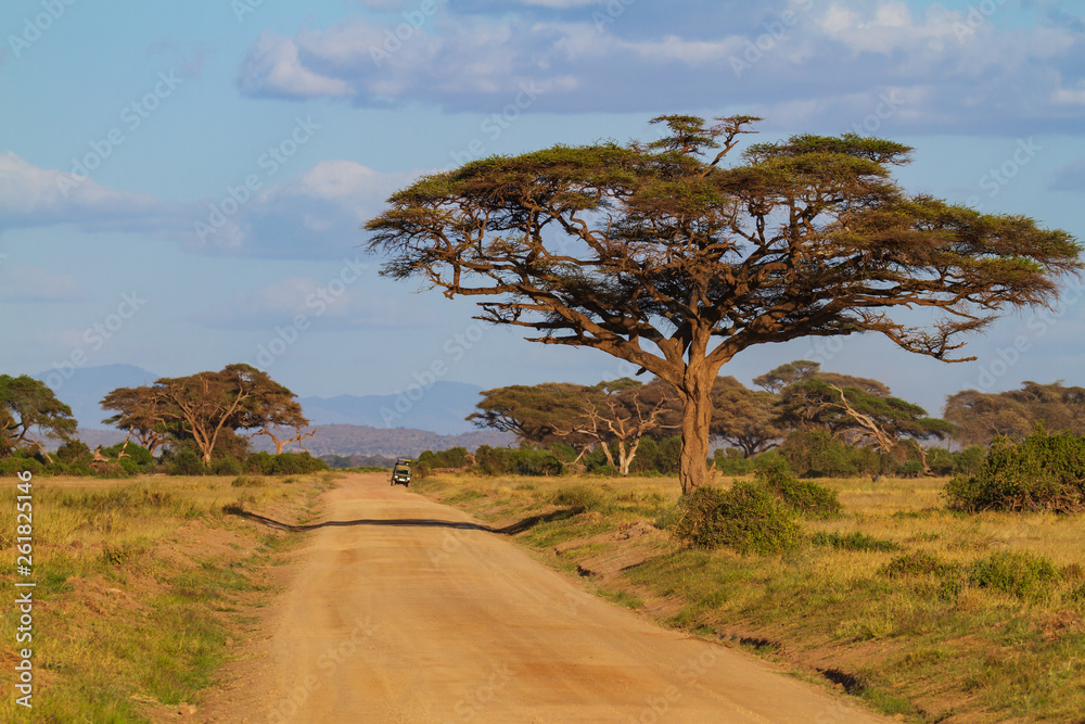 African landscape at Amboseli National Park, Kenya. Safari jeep vehicle on dirt road with large acacia thorn trees, blue sky and mountains in distance. Travel journey concept with copy space for text - obrazy, fototapety, plakaty 