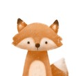 Cute little fox. Kids print or poster. Hand drawn illustration.