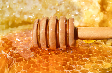 Wall Mural - honeycomb with honey