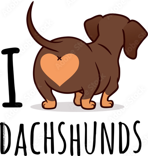 Cute dachshund dog vector cartoon illustration isolated on white, "I