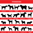 Vector terriers silhouettes