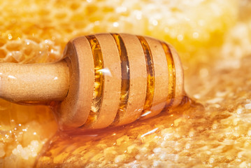 Wall Mural - honey and honeycomb