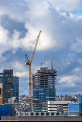 Wall Mural - Downtown of Seattle skyline with construction cranes 