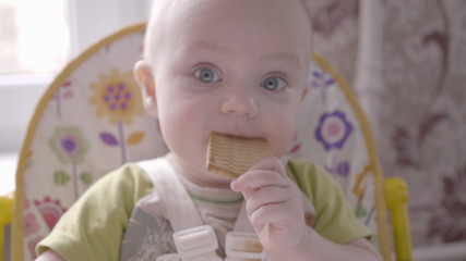 beautiful small toddler boy at the table take a cookie in his hand, eating it and watching into the camera close up view slow mo video in 4K