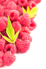 Canvas Print - Raspberry with leaves isolated on white background