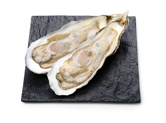 Fresh opened oyster on white background