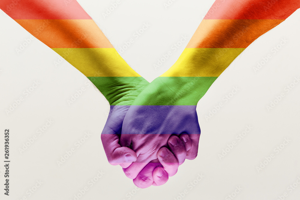 Right to choose your own way. loseup shot of a gay couple holding hands, patterned as the rainbow flag isolated on white studio background. Concept of LGBT, activism, community and freedom. - obrazy, fototapety, plakaty 