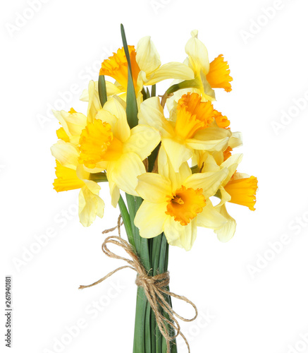Bouquet of beautiful daffodils on white background Poster Mural XXL