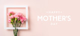 Fototapeta Miasta - top view of carnation on pink for mothers day