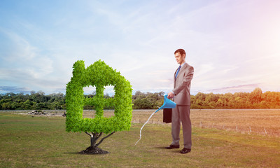 Sticker - Businessman watering green plant in shape of house