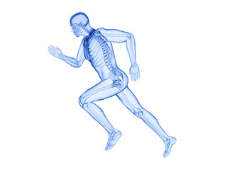 3d rendered illustration of a joggers skeleton