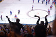 Fans support team, ice hockey match
