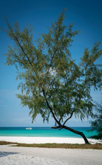 Wall Mural - long beach in tropical paradise koh rong island cambodia