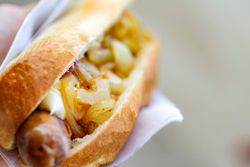 Street fast food - hot dog with grilled sausage and fryed onion