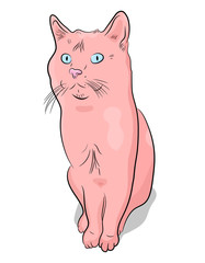 Canvas Print - Pink cat hand-drawn. Vector illustration in cartoon style.