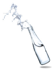 Water splash out of bottle glass isolated on white background.