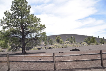 Flagstaff, AZ., U.S.A. June 5, 2018. Sunset Crater Volcano National Monument est. in 1930. Sunset Crater Volcano is a prime example of an 1,120-foot cinder volcano with substantial lava flows. 