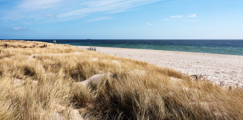 Canvas Print - Gras Düne Strand Ostsee