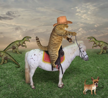 The Cat Cowboy In Boots On A White Horse Grazes A Herd Of Dragons On The Farm. His Dog Is Next To Him.