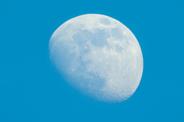 Wall Mural - moon in waxing gibbous phase on the daytime blue sky
