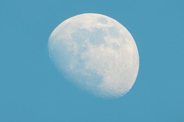 Wall Mural - moon in waxing gibbous phase on the daytime blue sky