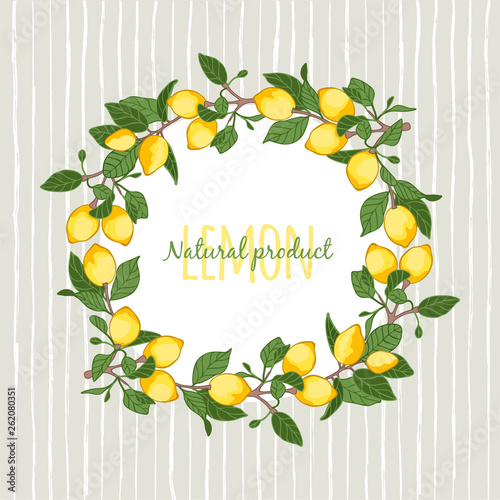 Fotografía vector illustration decorative wreath of lemons,place for your lettering, carto