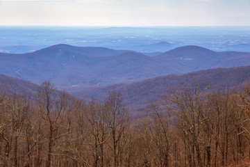 Wall Mural - Scenic view from the Apple Orchard Mountain overlook located along the Blue Ridge Parkway north of Roanoke, Virginia