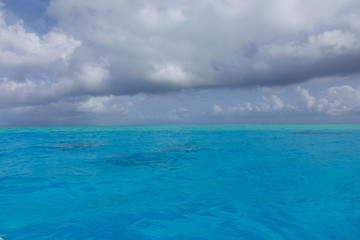 Wall Mural - DRONE: Flying over the tranquil turquoise ocean on a cloudy summer afternoon.