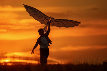 Wall Mural - Boy with a kite at sunset