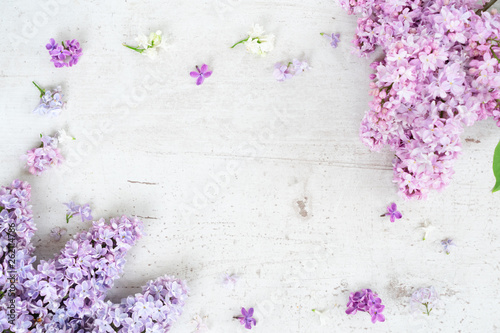 Fresh lilac flowers