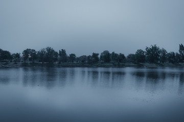 Wall Mural - lake in the fog