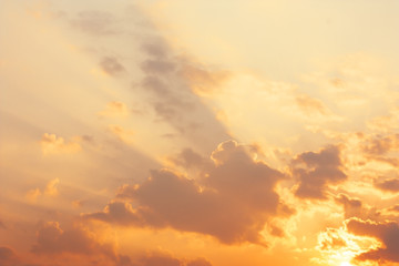 Wall Mural - golden sky in the morning with sunlight under the clouds for nature concept