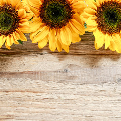 Fotomurales - Sunflowers on wooden background.